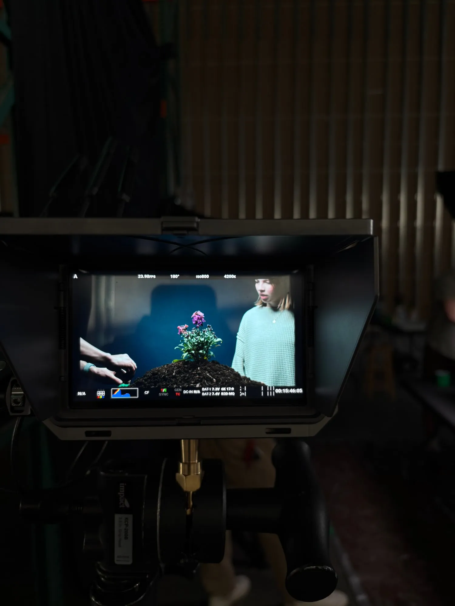 The camera monitor shows the shot: the flowering plant on its mound of soil, a hand reaching in and a young woman watching