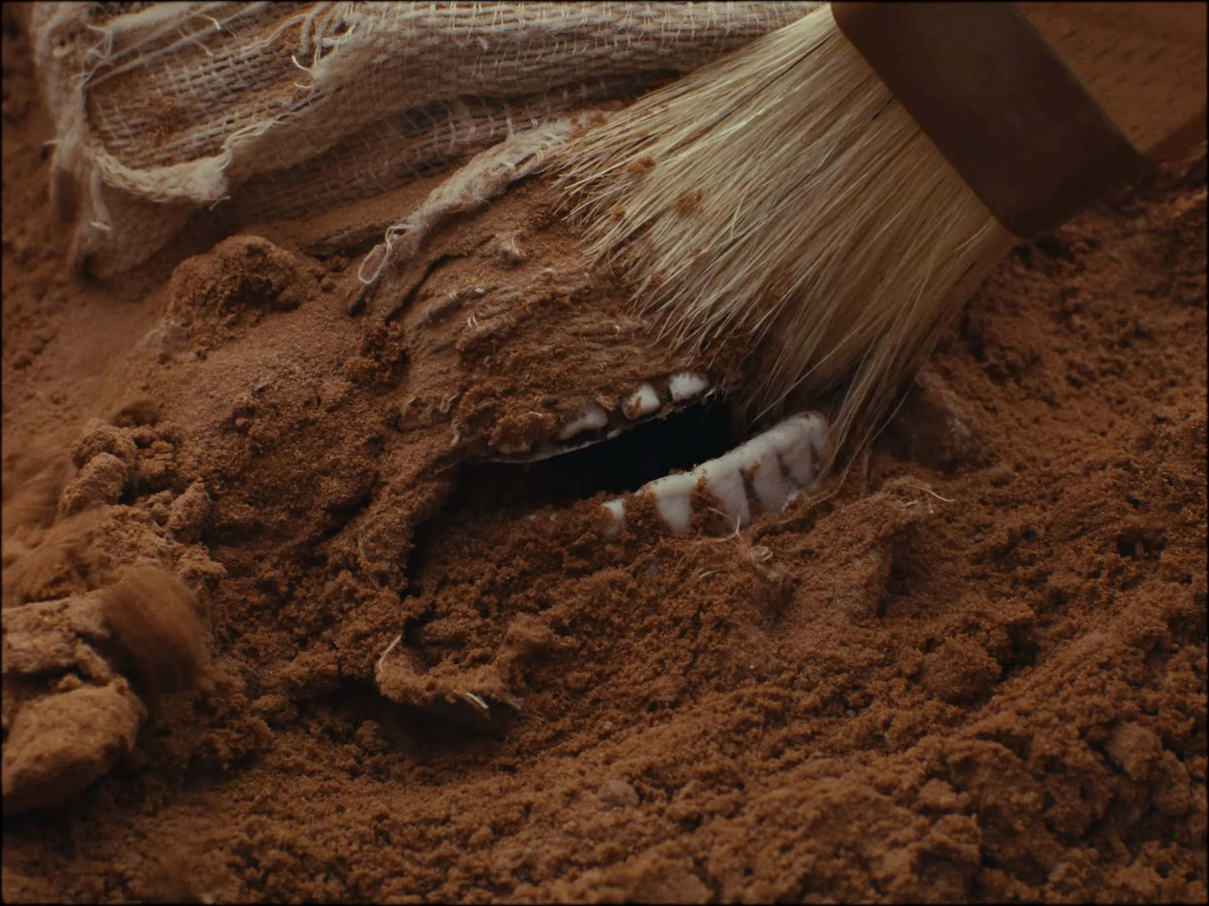 A brush uncovers teeth in the red sand