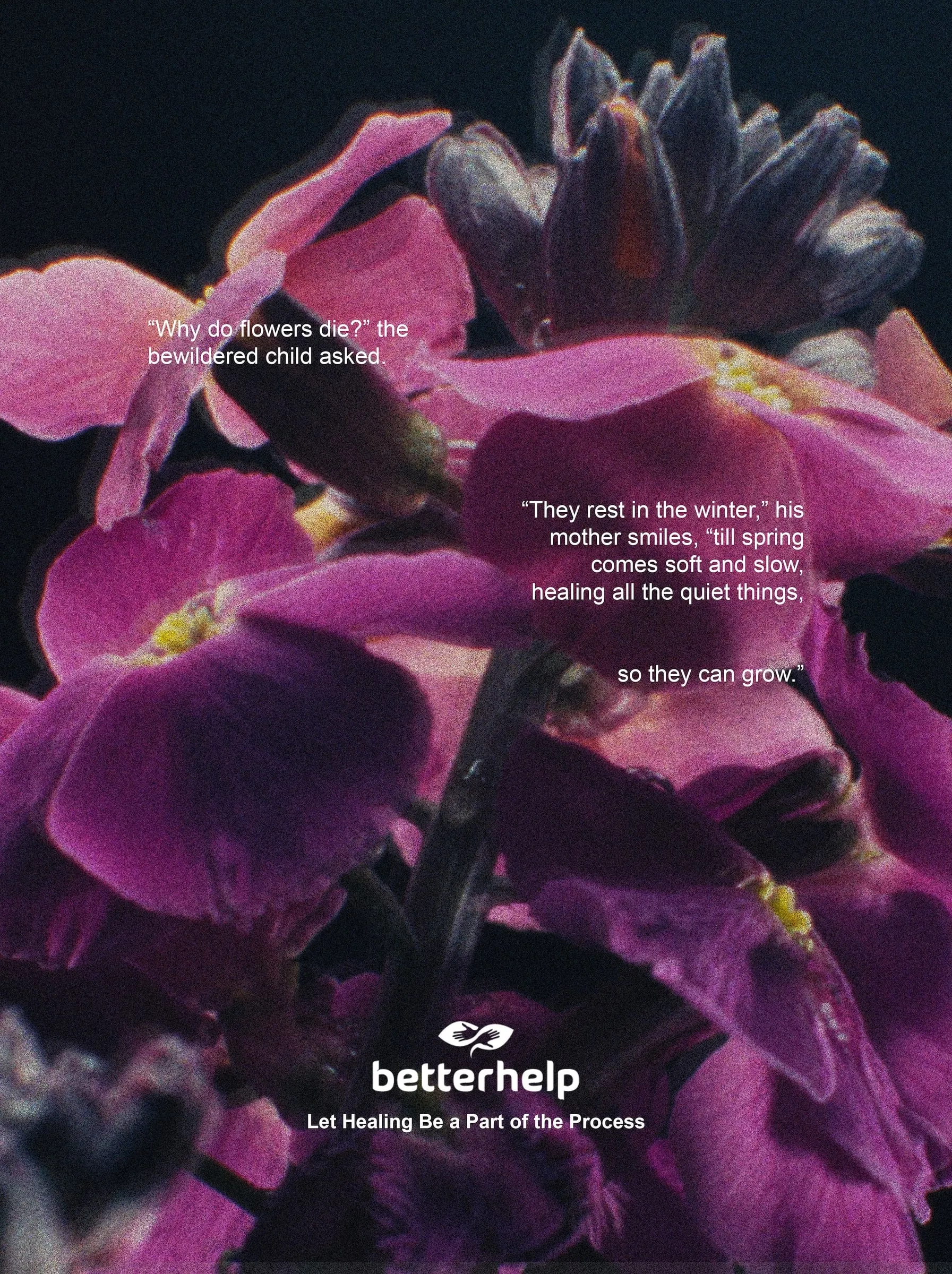 Magenta flowers close up on black. “Why do flowers die?” the bewildered child asked. “They rest in the winter,” his mother smiles, “till spring comes soft and slow, healing all the quiet things, so they can grow.” Under the BetterHelp logo: “Let Healing Be a Part of the Process”