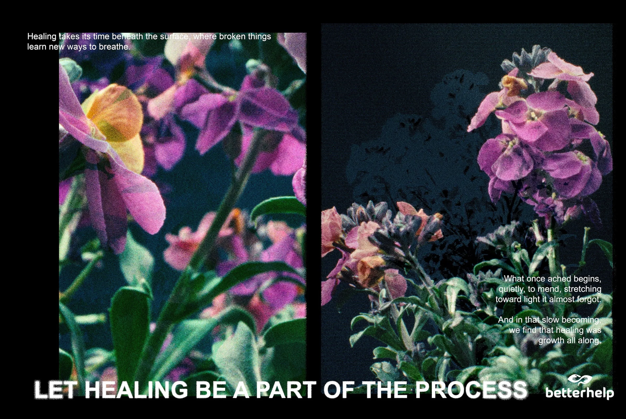 Two grainy flower photos side by side on black. “Healing takes its time beneath the surface, where broken things learn new ways to breathe.” “What once ached begins, quietly, to mend, stretching toward light it almost forgot. And in that slow becoming, we find that healing was growth all along.” Across the bottom: “LET HEALING BE A PART OF THE PROCESS” and the BetterHelp logo