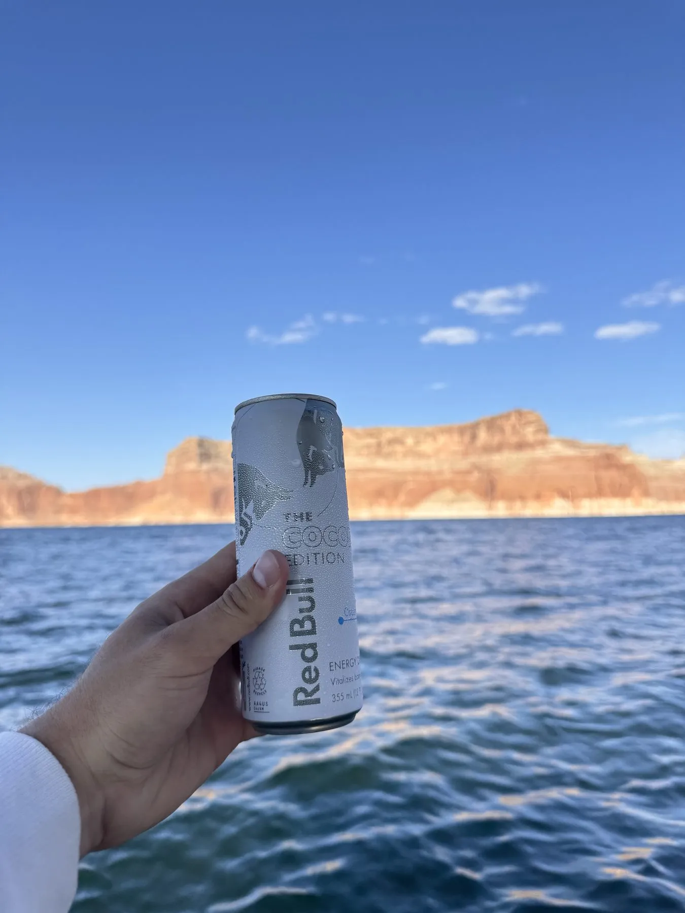A Coconut Edition can held up over a lake, red cliffs behind it